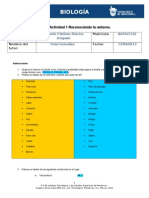 MII-U1-Actividad 1 Reconociendo Tu Entorno