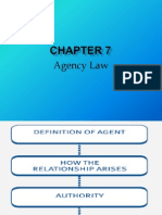 Chapter 7 Agency Law Slides