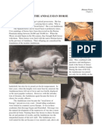The Andalusian Horse: Stellar Reading Medieval Times