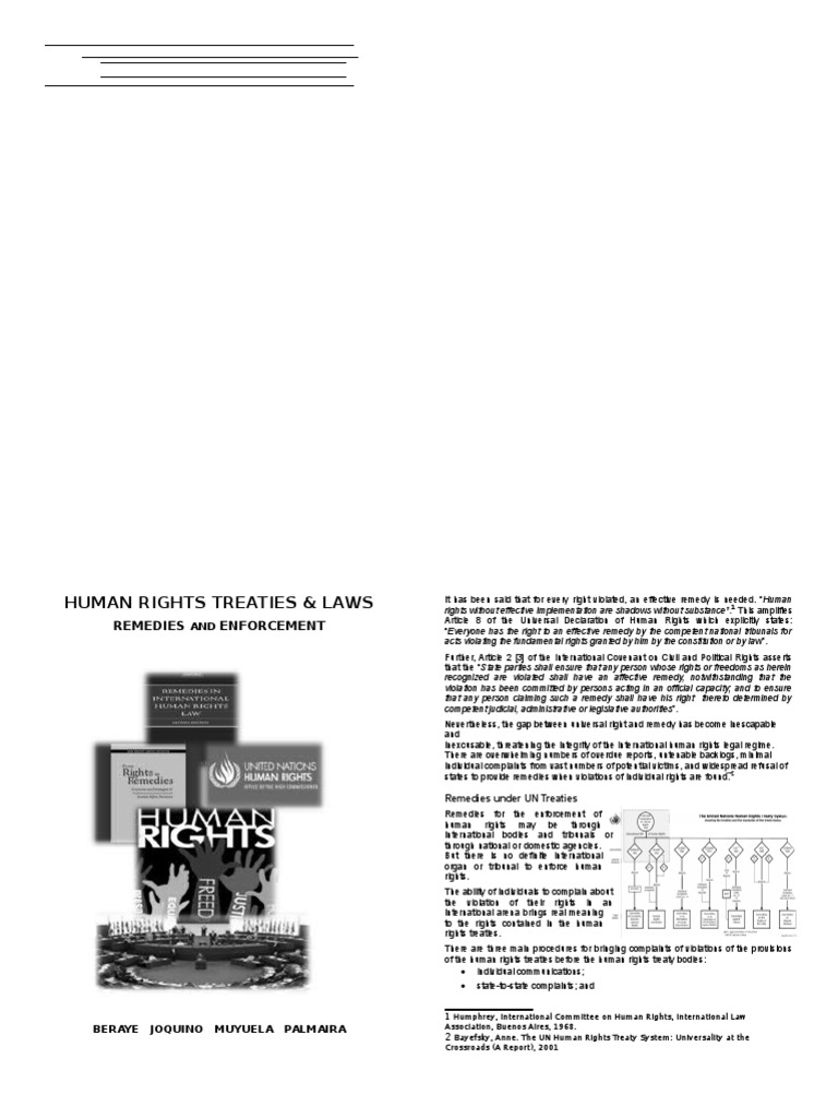Human Rights Remedies & Enforcement | PDF | International Criminal ...