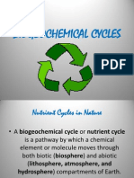 G - Biogeochemical Cycles Group 7