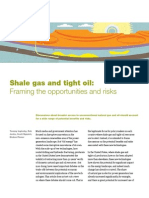 SRP 04 Shale Gas