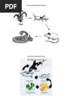 Download Contoh Rantai Makanan Di Sawah by A Shobah Permana SN171629008 doc pdf