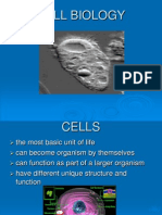 Cell Biology