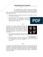 SNC II - Situações Clínicas