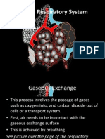 Gaseous Exchange System