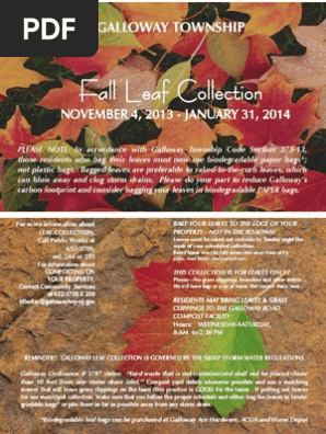 Fall Leaf2013