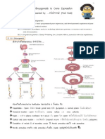 สรุป Embryogenesis for MED2UP