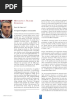 De Grauwe Managing Fragility Eurozone