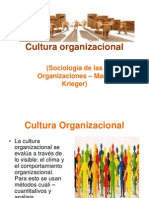 Cultura Organizacional