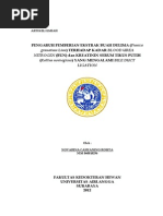 Download delima2 by kennitaharyati SN171690074 doc pdf