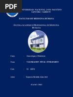 Download Valoracin Fetal Intraparto by abespinoza SN17169185 doc pdf