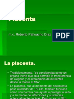 Placentaclase 100411231702 Phpapp01