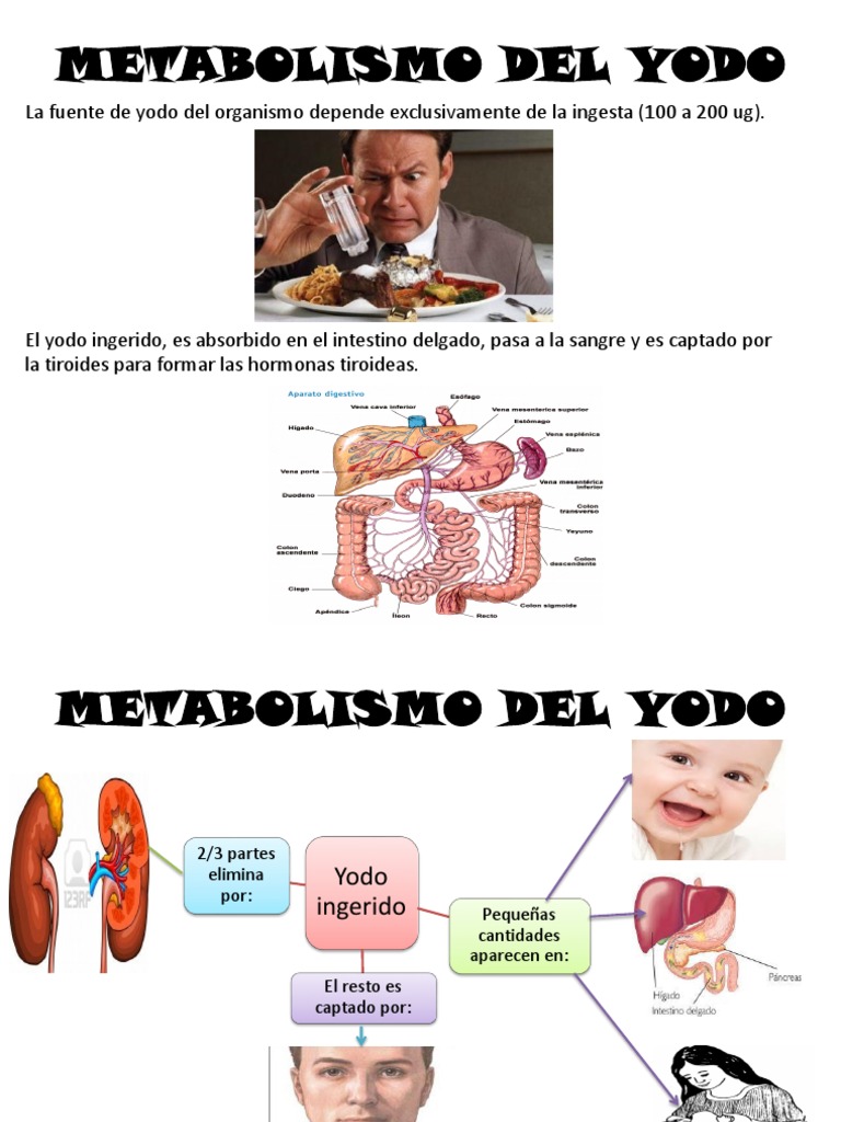 Metabolismo Del Yodo
