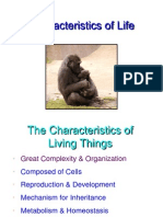 Characteristics of Living Thing