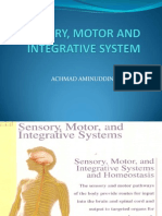 Sensory, Motor and Integrative System