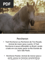 Trabalho Do Fernando