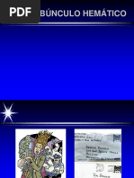 CARBUNCULO HEMÁTICO