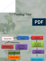 Fisiologi Tidur