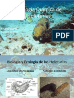 13 09 24 Roberto Gajardo Ecologia de Holoturias