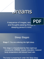 Dream Theories