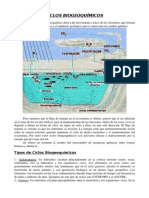 TEMA 2 Ciclos Biogeoquimicos