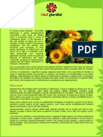Helicriso PDF