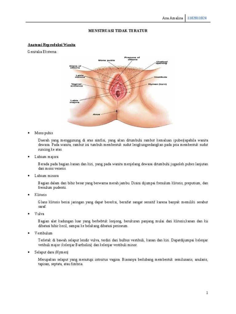 Klitorisni muloyimlik bilan opdi