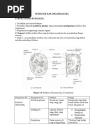 Unisel Dan Multisel Unisel Dan Multisel