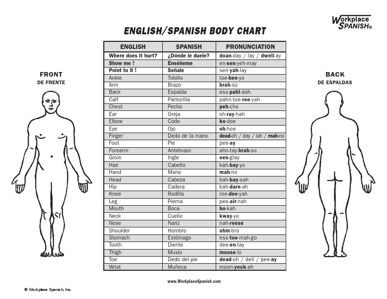 Body Chart PDF