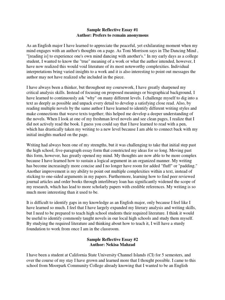reflection essay example for english