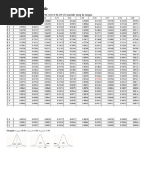 半額 50％OFFの通販 (Z) Normal Standard Table PDF | その他