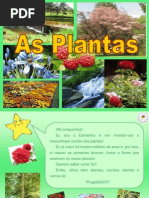 As Plantas Resumo