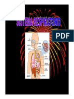 Clase Histologia Del Sistema Respiratorio