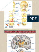 Neuropediatria 1
