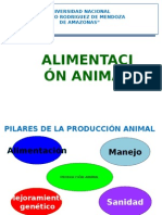 Alimentación 1