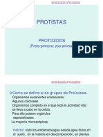 PROTOZOOS