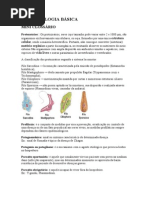 PARASITOLOGIA BASICA ESTUDOS.doc