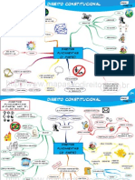 Direito Constitucional - Direitos Fundamentais