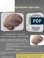 XIV Nedelja - Anat. 2 - Supkortikalne Sive Mase, Limbicki Sistem - 2013