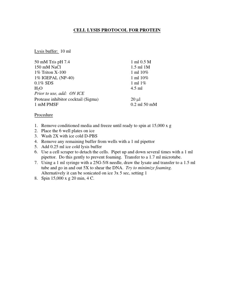 Cell Lysis Protocol for Protein Extraction | PDF