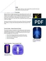 Nerve Energy and Qi