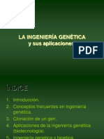 Ingeniería Genética