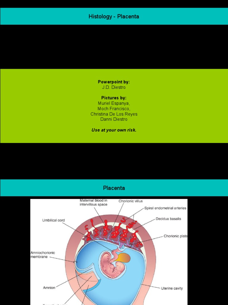 Placenta Histology Overview | PDF | Placenta | Developmental Biology