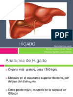 Anatomía y fisiología del hígado