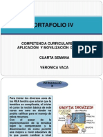 Portafolio IV