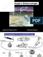 III Microorganismos