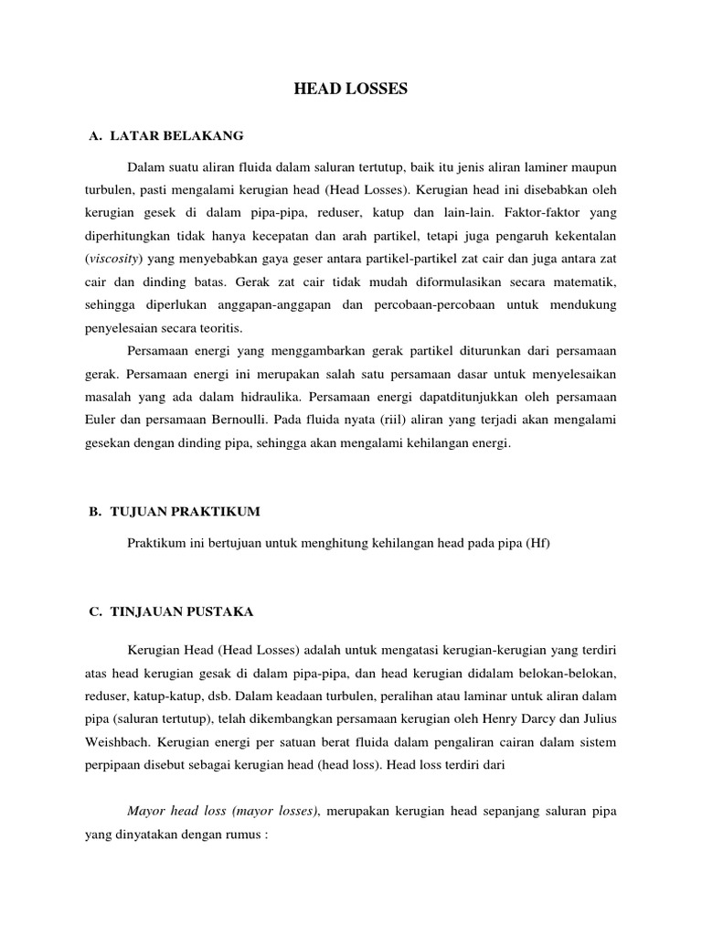 Head Losses Pdf Pdf