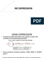 Gene Expression Diana