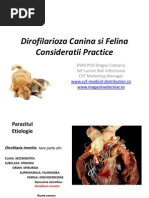 Medicatia in Bolile Digestive  PDF